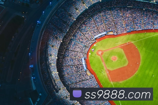 App Interface Preview